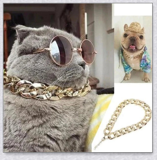 Thick gold chain dog collar with a stylish and durable design, perfect for adding a touch of urban sophistication to your pet's look.