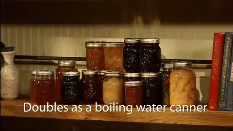Premium Aluminium 23 Litre Pressure Canner and Cooker for preserving fruits, vegetables, jams, and more