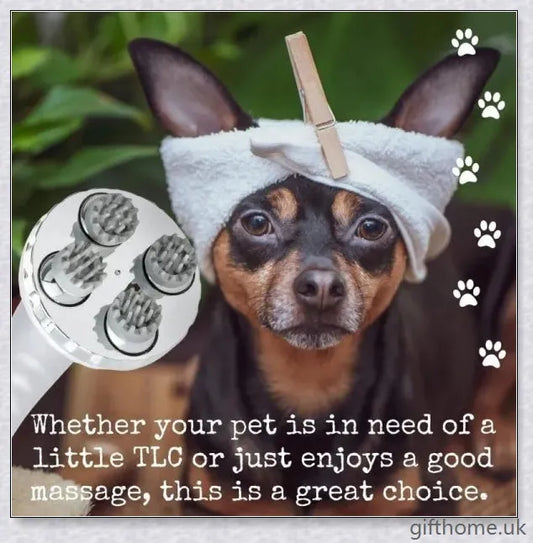 Multifunctional Electric Pet Head Massager in white and blue colours, designed to provide a gentle and effective massage for pets