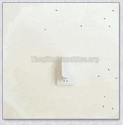 Portable and personal negative ion air purifier for removing dust, smoke, and odours