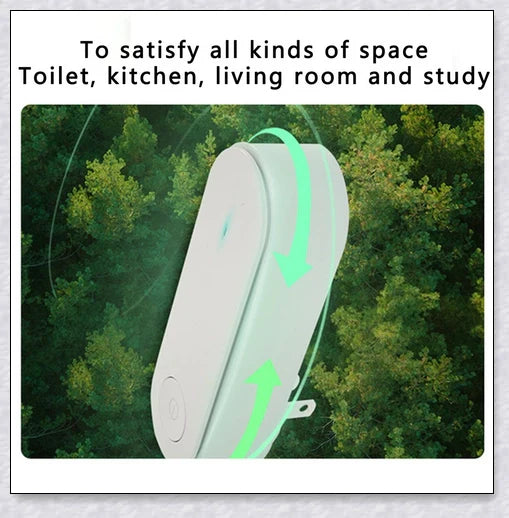 Portable and personal negative ion air purifier for removing dust, smoke, and odours