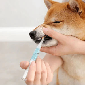 Pet Teeth Cleaning Pen - Innovative plant-based formula for effortless dental care of dogs and cats