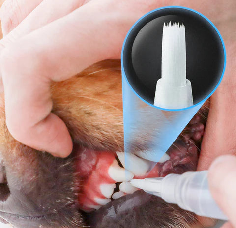Pet Teeth Cleaning Pen - Innovative plant-based formula for effortless dental care of dogs and cats