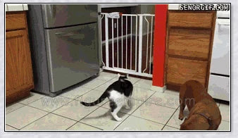 Retractable Dog Gate - Adjustable Indoor Pet Barrier with Durable Plastic-Coated Iron Pipe Construction