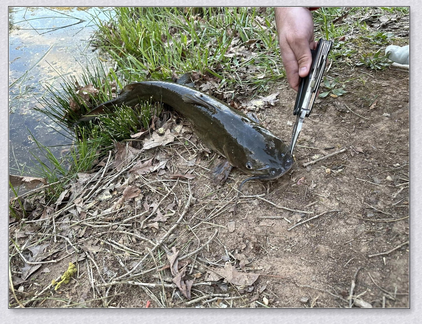 A versatile and durable fishing pole kit designed for kids, featuring a telescopic design, multiple hooks and baits, and a travel bag for easy portability.