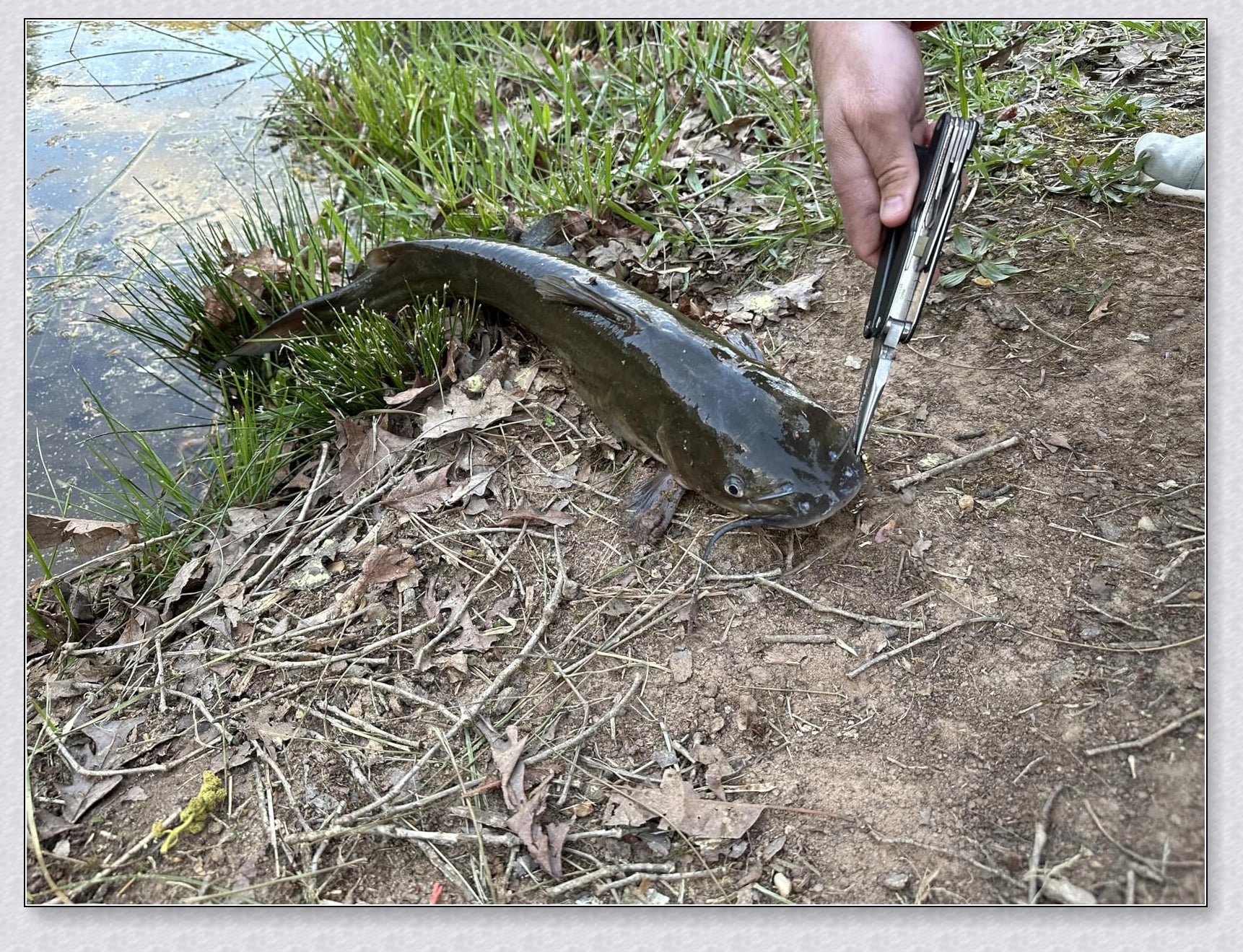 A versatile and durable fishing pole kit designed for kids, featuring a telescopic design, multiple hooks and baits, and a travel bag for easy portability.