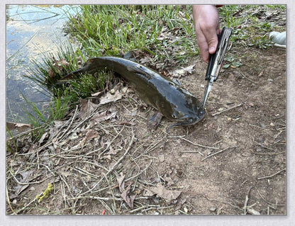 A versatile and durable fishing pole kit designed for kids, featuring a telescopic design, multiple hooks and baits, and a travel bag for easy portability.