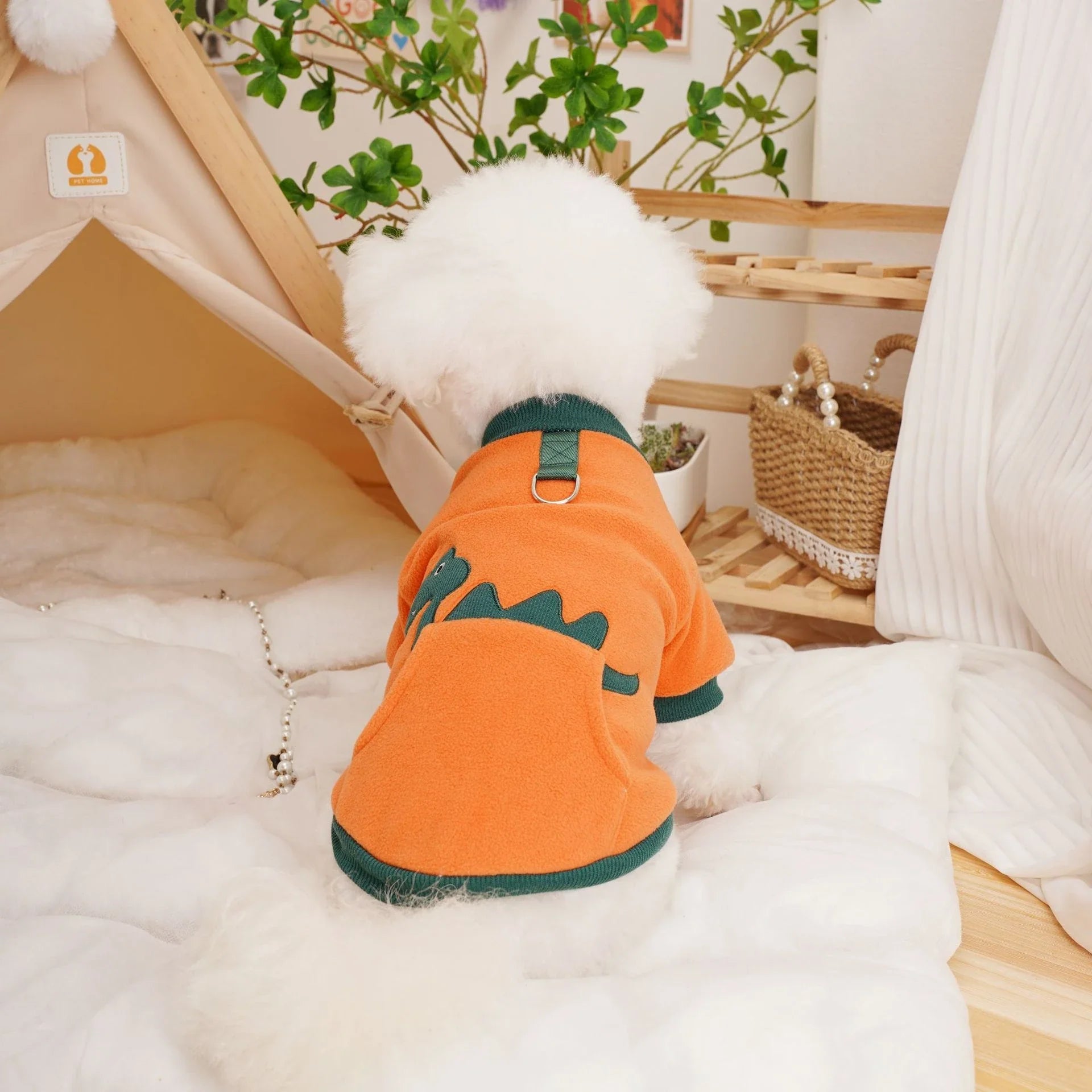 Cosy pet clothing in vibrant colours to keep your furry friend warm and protected