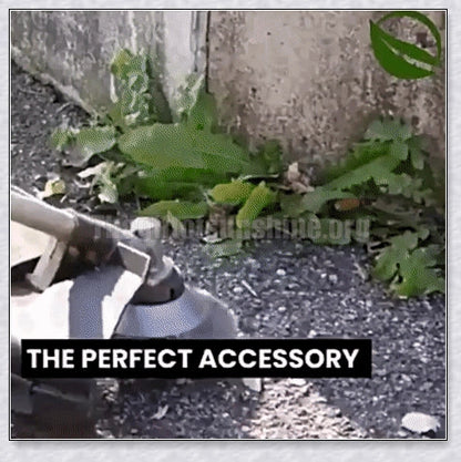 Unbreakable wired trimmer blade made from high-grade steel alloy for cutting through weeds, grass, and branches efficiently