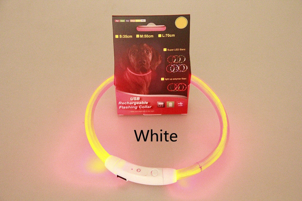 USB rechargeable LED pet safety collar for night visibility