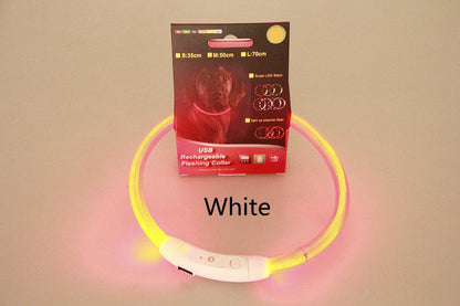 USB rechargeable LED pet safety collar for night visibility