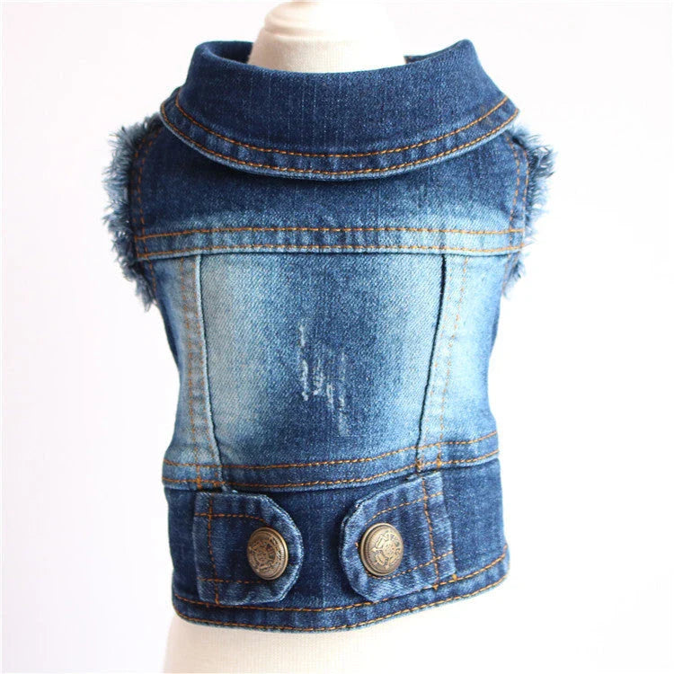 A stylish denim dog jacket with various design options for small breed canines