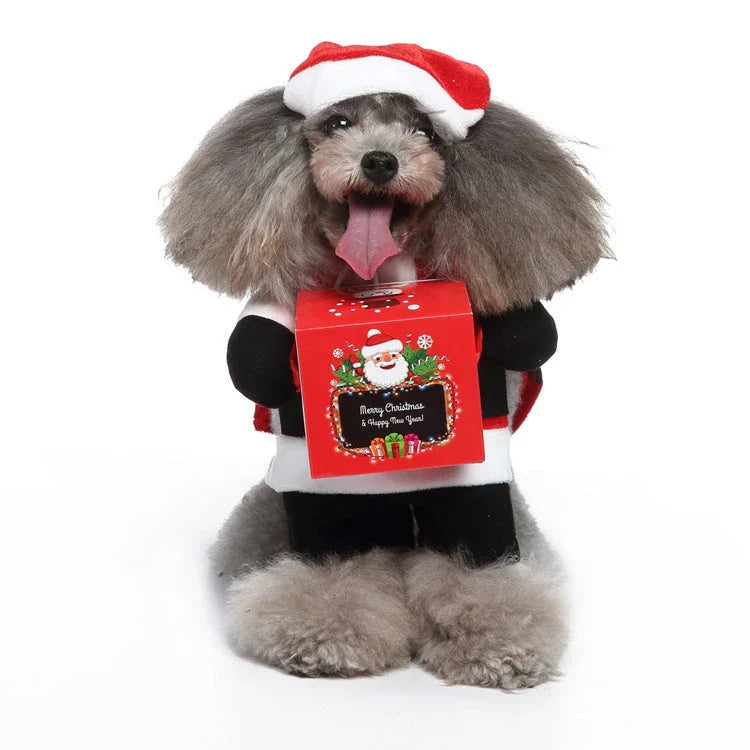 A charming pet costume with a three-piece ensemble of a whimsical hat, cosy clothing, and a dashing cloak, designed to make your furry friend the life of the party.