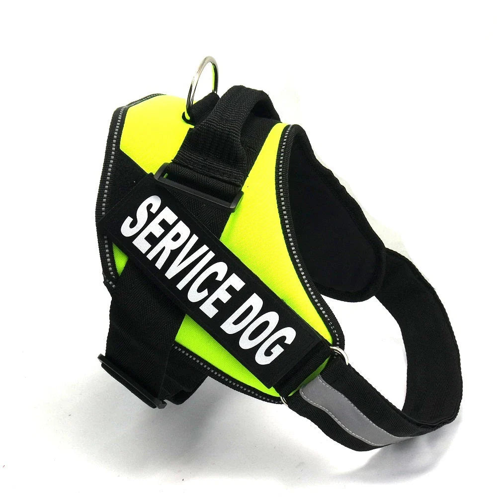 Premium nylon dog chest harness with adjustable fit for comfort and support during outdoor activities