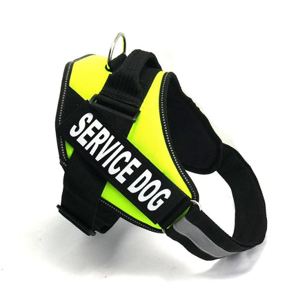 Premium nylon dog chest harness with adjustable fit for comfort and support during outdoor activities