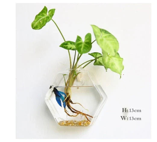Elegant glass wall hanging flower vase planter terrarium with various shapes and sizes