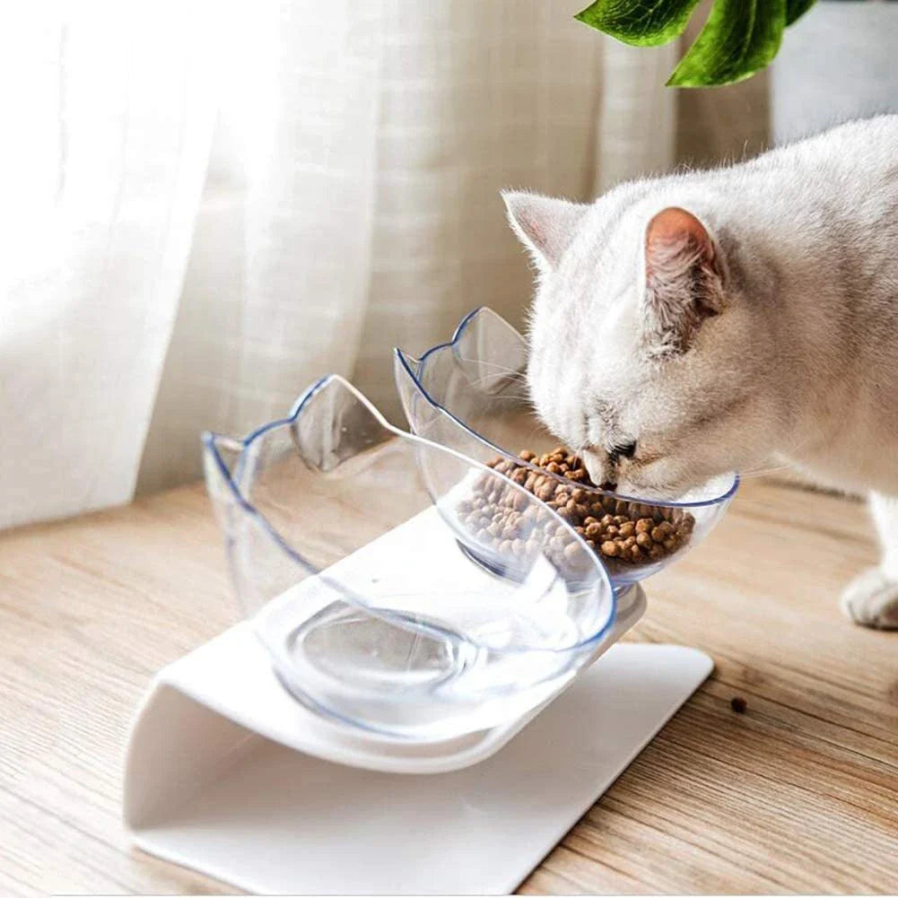Elevated tilted pet bowl with non-slip stand in transparent, white, and black color options