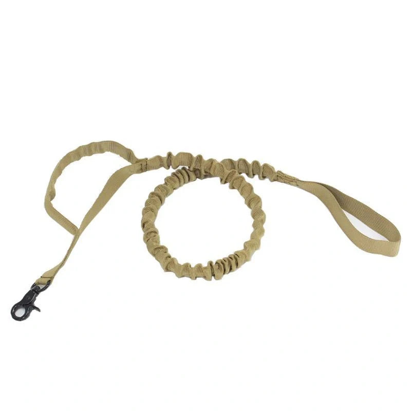 Retractable dog lead for outdoor training in various colors