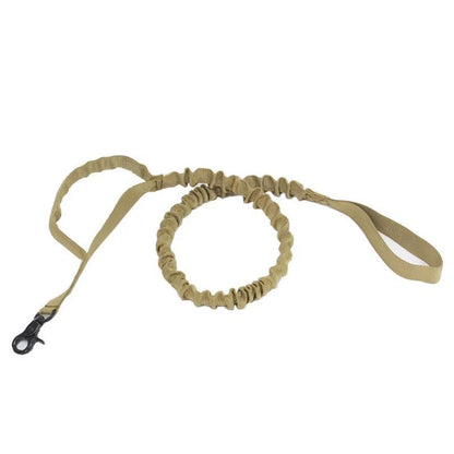 Retractable dog lead for outdoor training in various colors