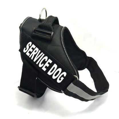 Premium nylon dog chest harness with adjustable fit for comfort and support during outdoor activities