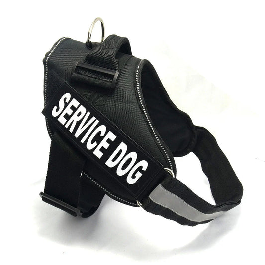 Premium nylon dog chest harness with adjustable fit for comfort and support during outdoor activities