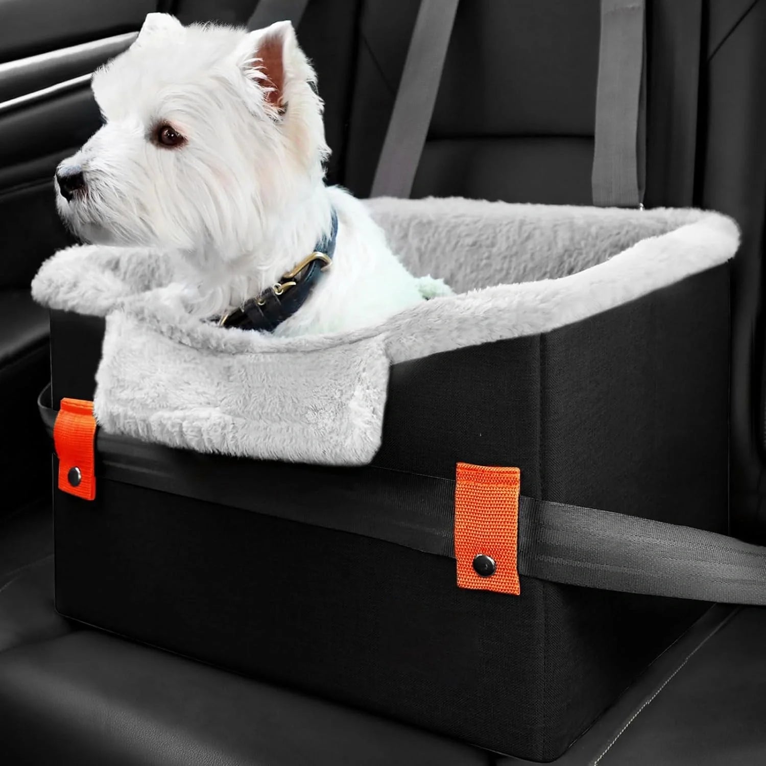 Portable dog booster seat with safety leash for small pets in car