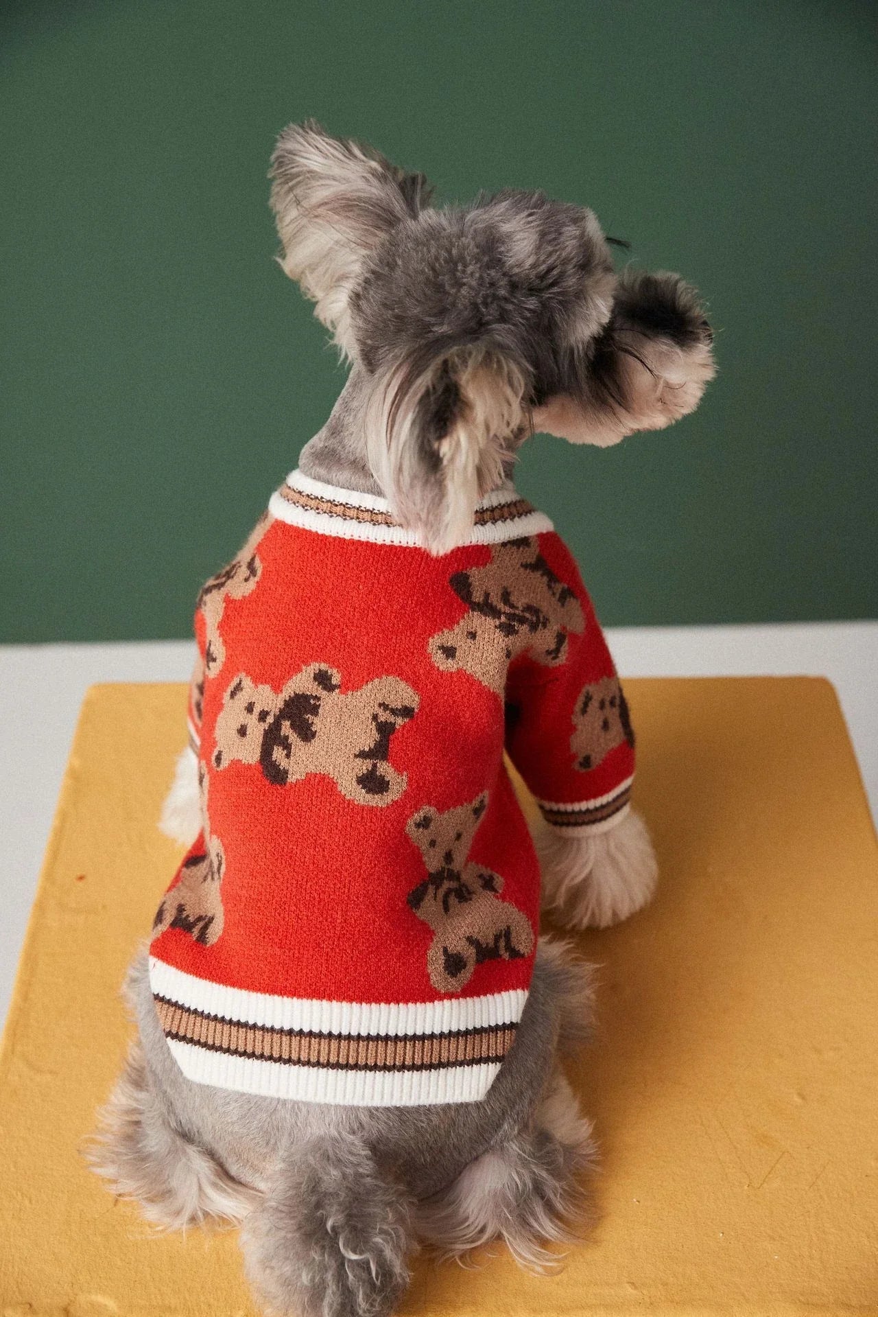 Stylish striped pet sweater in various colours and sizes for dogs and cats