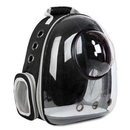Premium transparent pet carrier backpack with side-entry door and breathable design for cats up to 12 kg