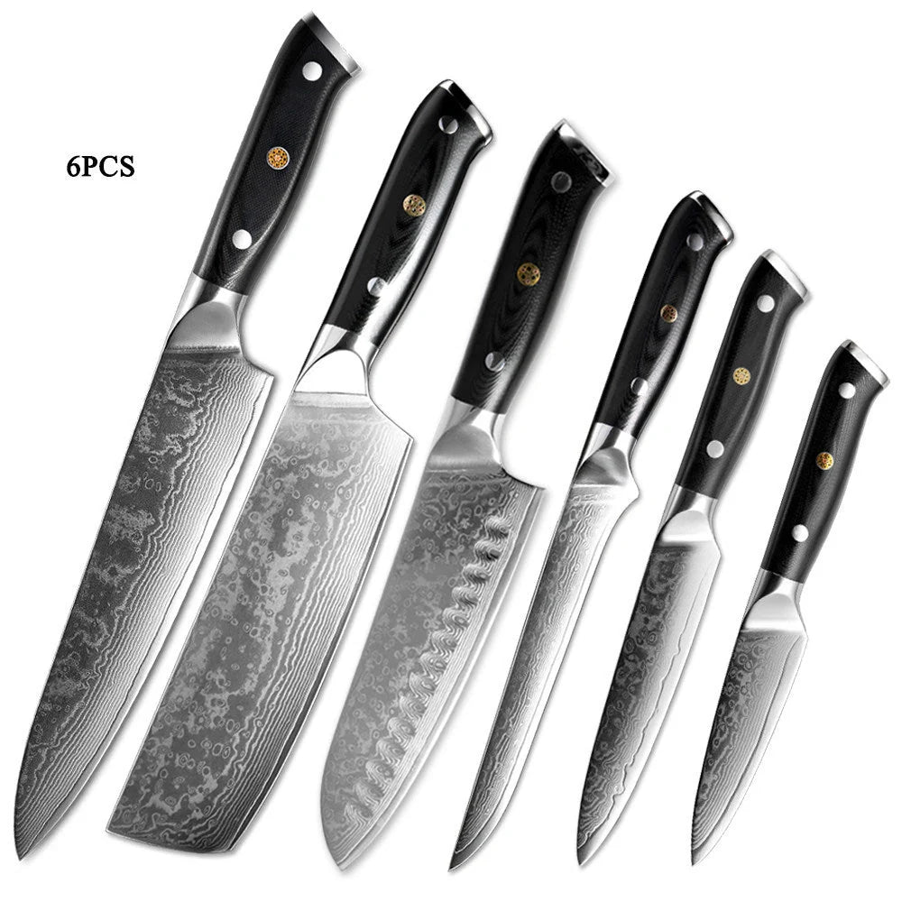 Premium Japanese Damascus steel kitchen and fruit knife set with G10 handle