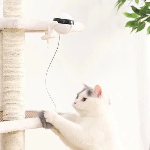 Interactive electronic motion cat toy with real fur ball, 7cm diameter, for stimulating play