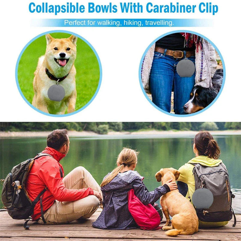 Collapsible pet bowls made of durable silicone with dual compartments and spill-resistant design for dogs and cats