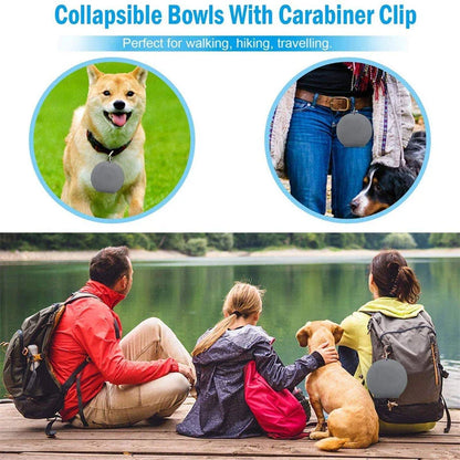 Collapsible pet bowls made of durable silicone with dual compartments and spill-resistant design for dogs and cats