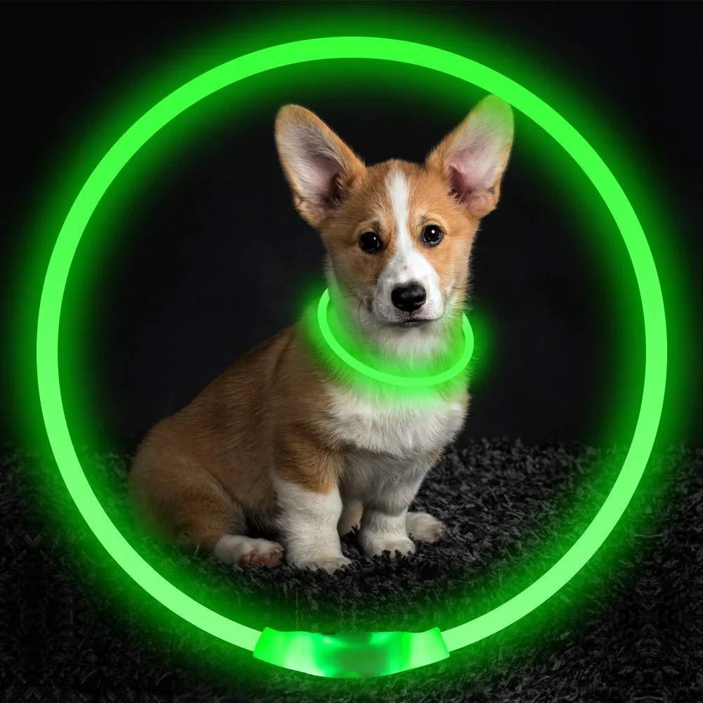 USB rechargeable LED pet safety collar for night visibility
