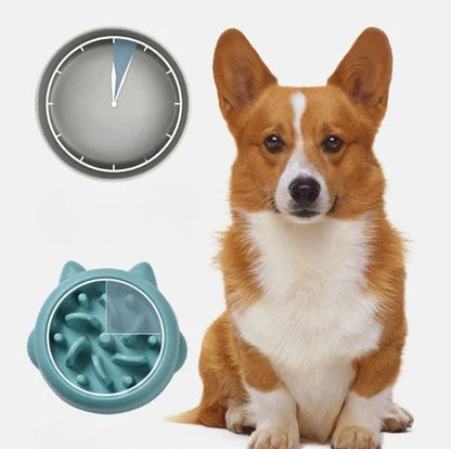 Pet slow feeder bowl in green, pink, or orange with anti-choking design