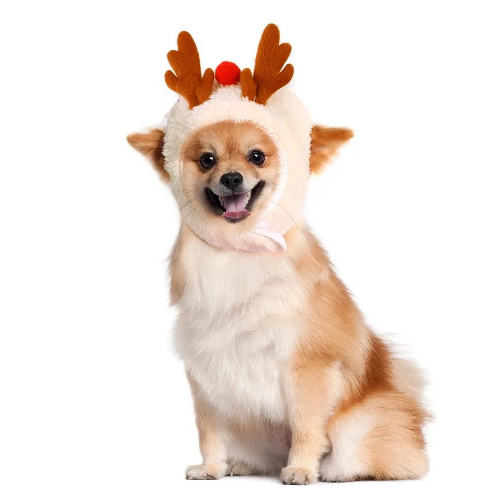 Christmas pet costume in velvet with antlers and bib for winter warmth