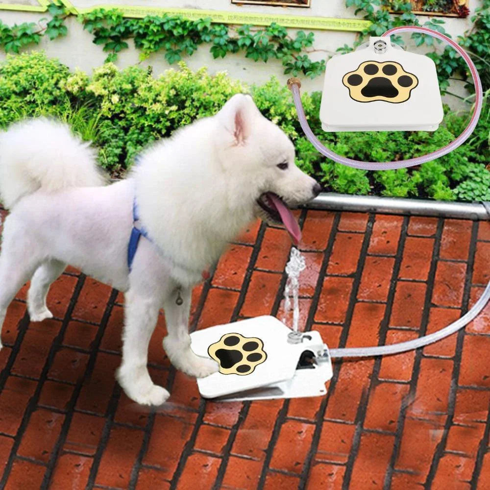 Heavy-duty outdoor dog water fountain with paw-activated water release and durable steel construction