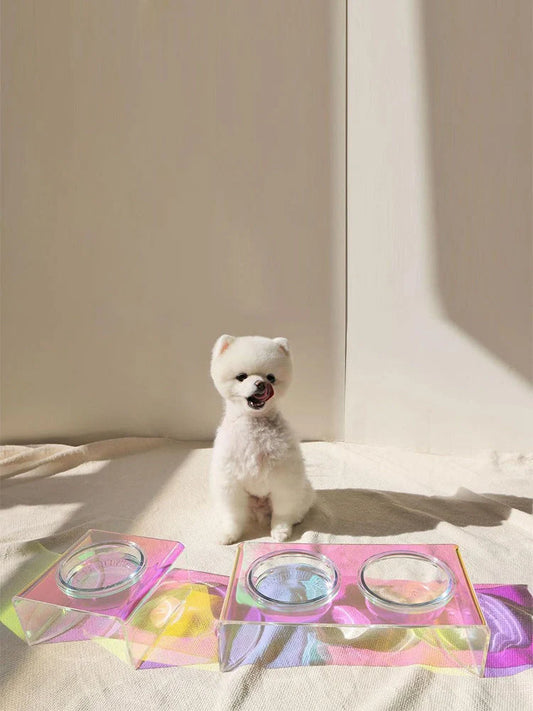 Holographic acrylic pet bowl for small dogs and cats with anti-slip base