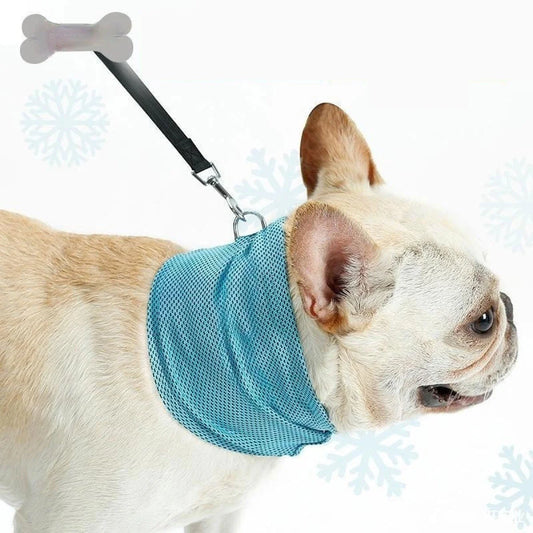 Blue instant cooling pet bandana for dogs, perfect for summer heatstroke prevention