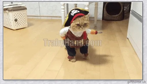 A cat or dog wearing a pirate-themed costume with a bandana, gold accents, and a miniature treasure chest