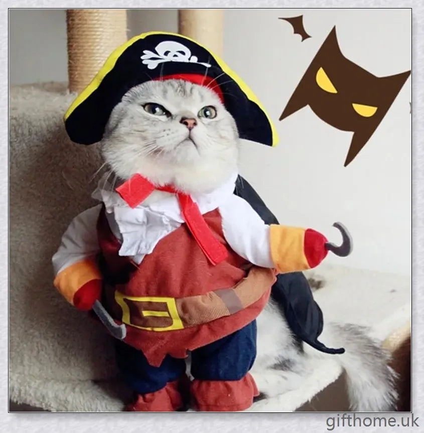 A cat or dog wearing a pirate-themed costume with a bandana, gold accents, and a miniature treasure chest