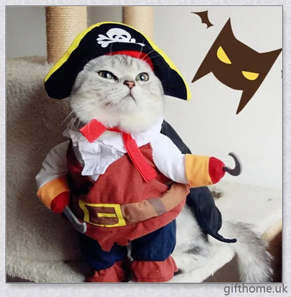 A cat or dog wearing a pirate-themed costume with a bandana, gold accents, and a miniature treasure chest