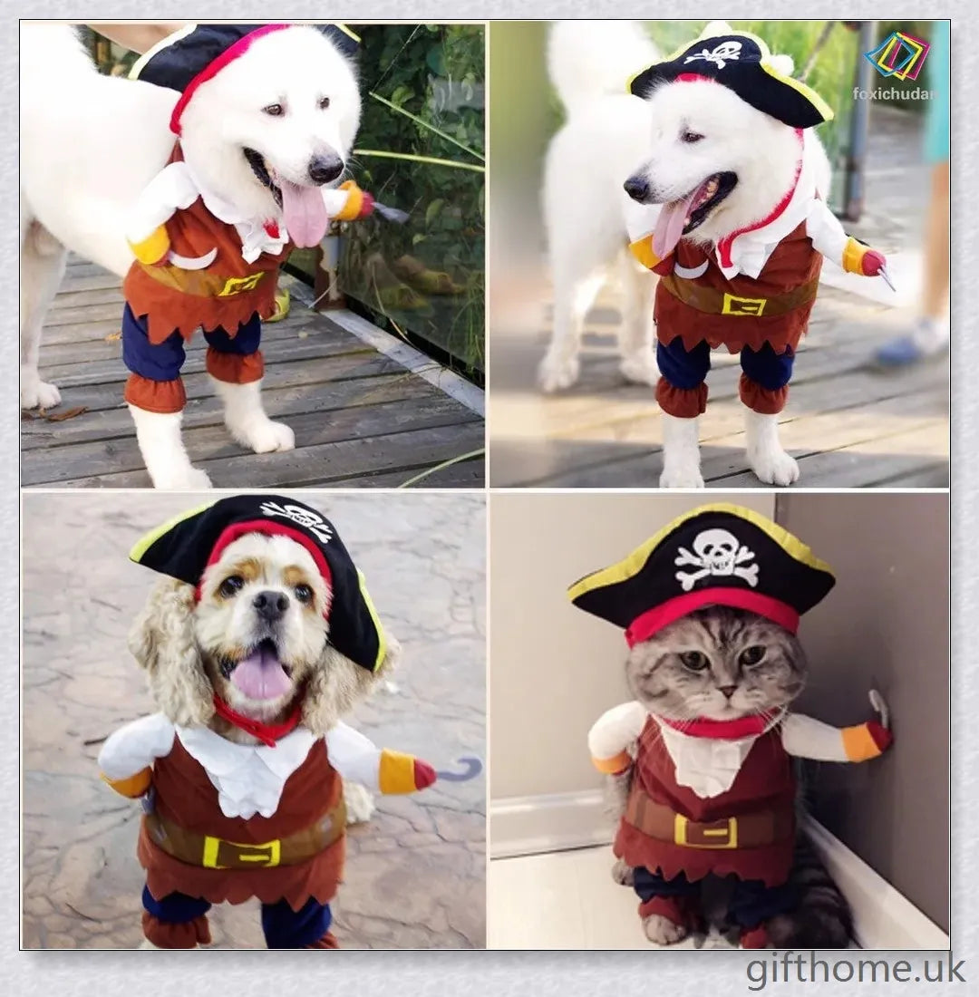 A cat or dog wearing a pirate-themed costume with a bandana, gold accents, and a miniature treasure chest