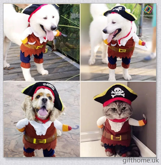 A cat or dog wearing a pirate-themed costume with a bandana, gold accents, and a miniature treasure chest