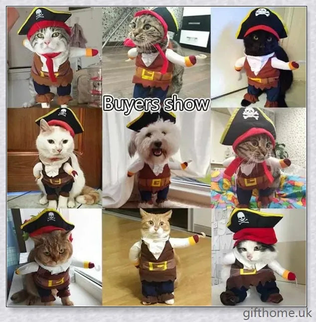 A cat or dog wearing a pirate-themed costume with a bandana, gold accents, and a miniature treasure chest