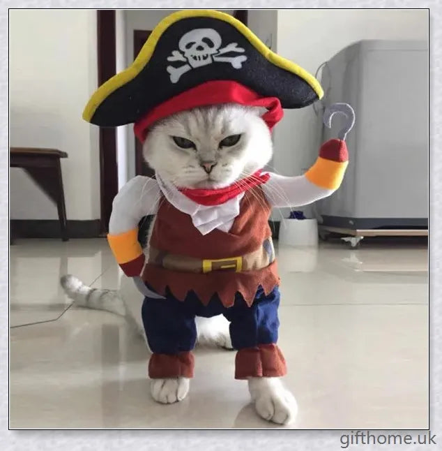 A cat or dog wearing a pirate-themed costume with a bandana, gold accents, and a miniature treasure chest
