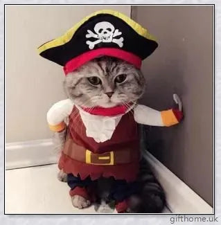 A cat or dog wearing a pirate-themed costume with a bandana, gold accents, and a miniature treasure chest