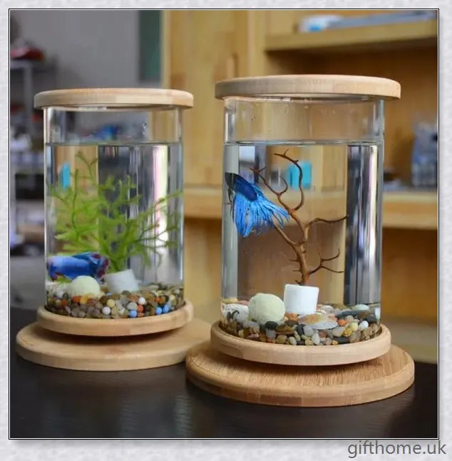 Glass Betta Fish Tank with Bamboo Base, a unique and visually striking aquarium that showcases your betta fish in a 360-degree rotating design.