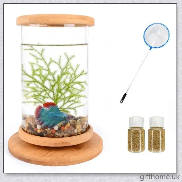 Glass Betta Fish Tank with Bamboo Base, a unique and visually striking aquarium that showcases your betta fish in a 360-degree rotating design.
