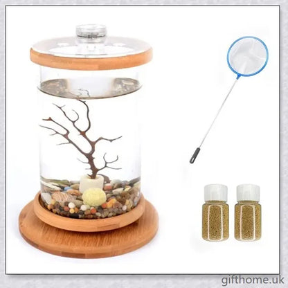 Glass Betta Fish Tank with Bamboo Base, a unique and visually striking aquarium that showcases your betta fish in a 360-degree rotating design.
