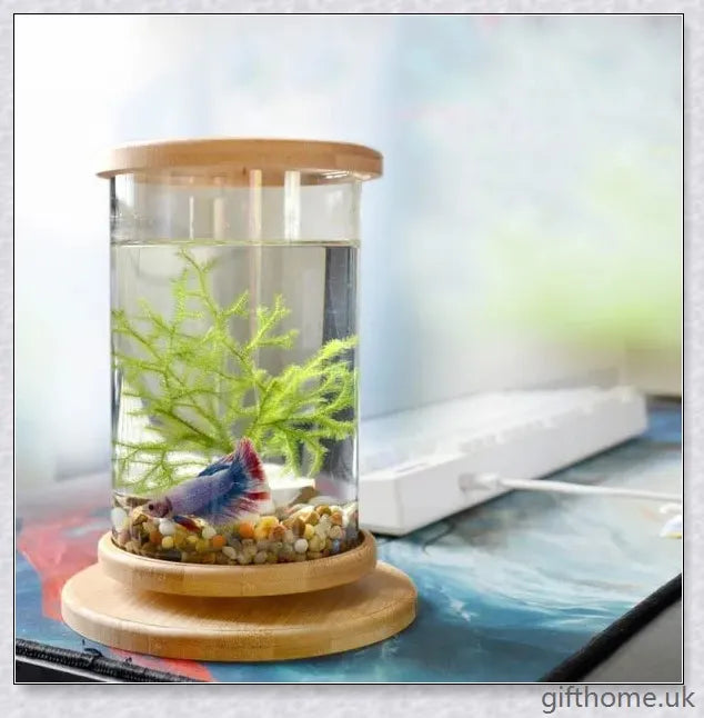 Glass Betta Fish Tank with Bamboo Base, a unique and visually striking aquarium that showcases your betta fish in a 360-degree rotating design.